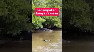 PENAMPAKAN BUAYA RAKSASA DI SUNGAI #shorts #amazing #animals #crocodile #giant