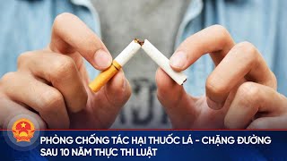 Phòng chống tác hại thuốc lá - Chặng đường sau 10 năm thực thi luật | Cổng thông tin Quốc hội