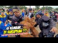 SEKALI TIUP LANGSUNG DI SURUPKAN❗️❗️KUDA LUMPING MEDAL PUSAKA 💥 LEMBUR KURING