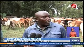 Security team recovers 191 cows stolen in Laikipia County