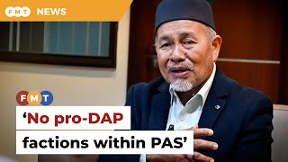 No pro-DAP factions within PAS, says Tuan Ibrahim