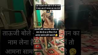 ताऊजी भगवान और परिवार#funny #dog #pets #viralvideo 🤔🥱🤭🫢