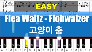 [Piano Tutorial] Flea Waltz - Flohwalzer Piano EASY/ 고양이 춤 Piano Sheet  Easy Tutorial