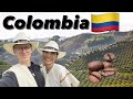 Colombia🇨🇴 How COFFEE is produced☕️