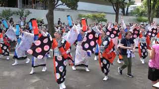 au【4K】／NHK前ストリート（初日）／明治神宮奉納 原宿表参道元氣祭 スーパーよさこい2023