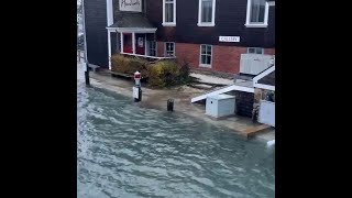 Flooding outside art gallery in Woods Hole