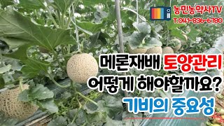 [농민농약사TV] 메론재배 토양관리 어떻게 해야할까요?  뼈대가 좋아야 결과물도 좋아요! 농민농약사의 기비 메뉴얼!