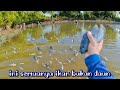 Rezeki melimpah datang dari arah yang tak di duga saat mencari ikan 🤲🤲🤲