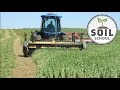 Soil School: Do your soil a favour — put forage in the rotation