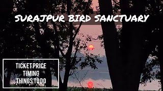 Surajpur Bird Santuary | Greater Noida | Places to visit in Delhi NCR | Travel Vlog | #tripnomad