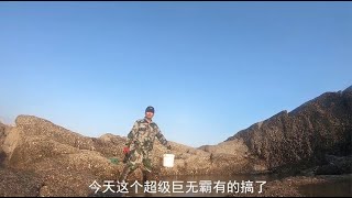 【小俞赶海】赶海盘巨坑，小俞意外发现鱼群被困，猛货扎堆聚窝，抓得太刺激了