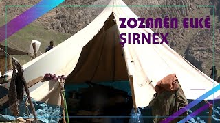 ZOZANÊN ELKÊ - ŞIRNEX