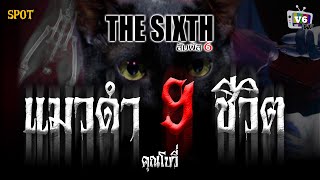 [SPOT] THE SIXTH สัมผัสที่ 6 EP.46 : แมวดำ 9 ชีวิต