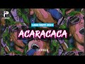 ACARACACA REMIX 2024 (Irsal Palevi) | Lagu Kancingan Acara🌴