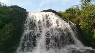 Ama gan jharna//kapilash waterfall//#punia#grow