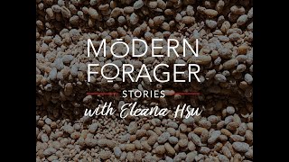 Modern Forager Stories: Eleana Hsu & Koji Fungi Fermentation