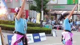 TEAM清門（草加よさこいサンバフェスティバル2013,SOKA-YOSAKOI-SAMBA FES.2013)