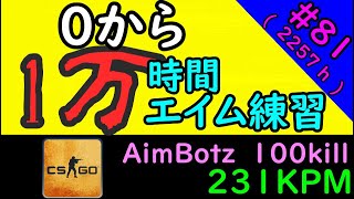 【2257時間目】０から10000時間エイム練習したら上達するのか? #81   aimbotz 231KPM