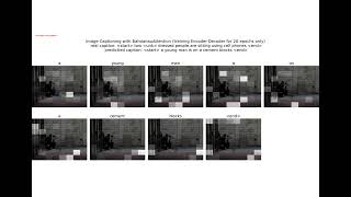 Visual Attention | Image Captioning | Visualization | tensorflow | python