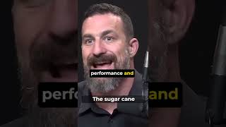 #shorts #HubermanLab #Science #Willpower the sugar cane