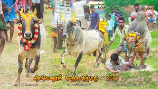 செம்பனூர் மஞ்சுவிரட்டு 21 06 232