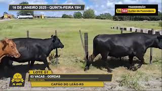 LOTE 01