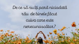 De ce să nu îți pară niciodată rău de binele făcut cuiva care este nerecunoscător?