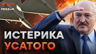 Неожиданно! БПЛА ГАТЯТ по БЕЛАРУСИ 😱 Путин ОБОЗЛИЛСЯ на ДРУЖКА?