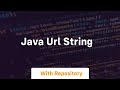 java url string