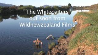 The Whitebaiters - Wildnewzealand Films