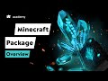 Tebex - Minecraft Package Overview