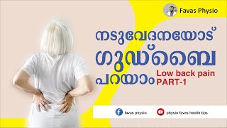 നടുവേദന മാറാൻ ഈ ലഘുവായ വ്യായാമങ്ങൾ മതിയാകും /low back pain exercise, simple back strength exercise,