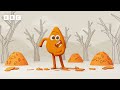 🍊 orangey energy 🎵 song for kids colourblocks cbeebies