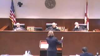 What is Reasonable Cause to Stop a Car? Constitutional Rights