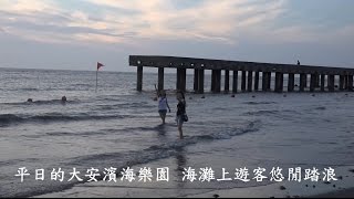 20160625 Love 大甲 大安濱海樂園快閃淨灘 請民眾勿亂丟垃圾 珍惜這免費的美麗沙灘