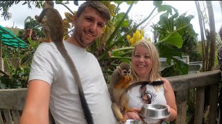 So MANY Monkeys | Monkeyland | Dominican Republic - Punta Cana