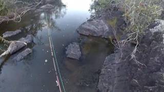 Cod Fishing New England Gorges