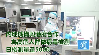 內地機構與港府合作為高危人群做病毒檢測　日檢測量達5000