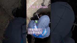 대전세종하수구막힘 맨홀하수구 나무뿌리 제거작업 blocked drain