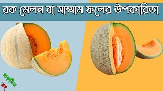 জেনে নিন রক মেলন বা সাম্মাম ফলের উপকারিতা। প্রকৃতির রং