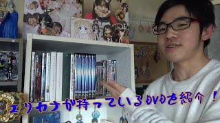 【誰得】エリカナが持っているDVDを紹介！