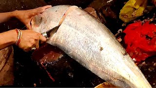 How to cut and clean a wallago Attu fish - fish cutting skills - big fish