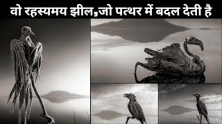 तंजानिया की वो रहस्यमय झील, जिसका पानी पत्थर में बदल देता है-Deadly Lake that turns Animals to Stone