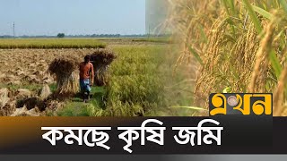 দেশে অপচয় প্রায় ৭ লাখ একর আবাদযোগ্য জমি | Agriculture | Ekhon Tv