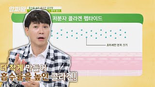 흡수율 높인 끝판왕↗↗ 초미세 크기의 '저분자 콜라겐 펩타이드' TV정보쇼 알짜왕(alzzaking) 221회 | JTBC 210520 방송