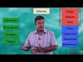 User and Schema - DbArch Video 33