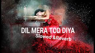 Mera Tod Diya (Slowed+Reverb) - Alka Yagnik | Kasoor | Bollywood Lofi |KHAMOSH LOFI SONG
