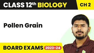 Pollen Grain - Sexual Reproduction in Flowering Plants | Class 12 Biology (2022-23)