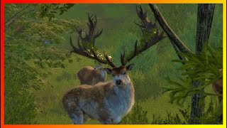 GREAT ONE Red deer with the HOUYI RECURVE BOW!! 4800+ kills, 18 diamonds, 17 rares!! TheHunter COTW