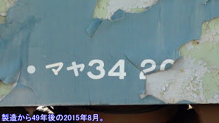 【名/迷列車を見よう】 さよならマヤ34 2004